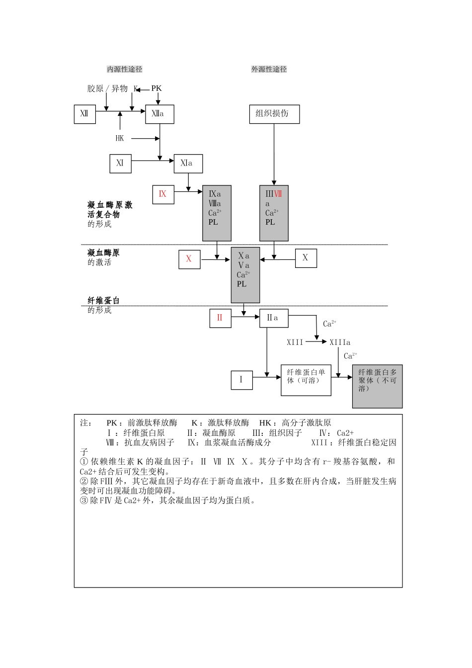 凝血过程示意图_第1页