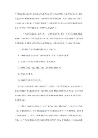 出纳试用期工作总结