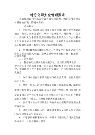 分公司的安全管理要求