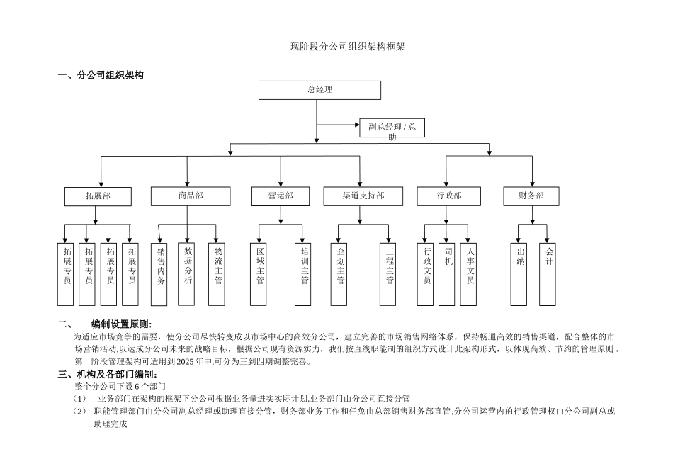 分公司组织架构_第1页