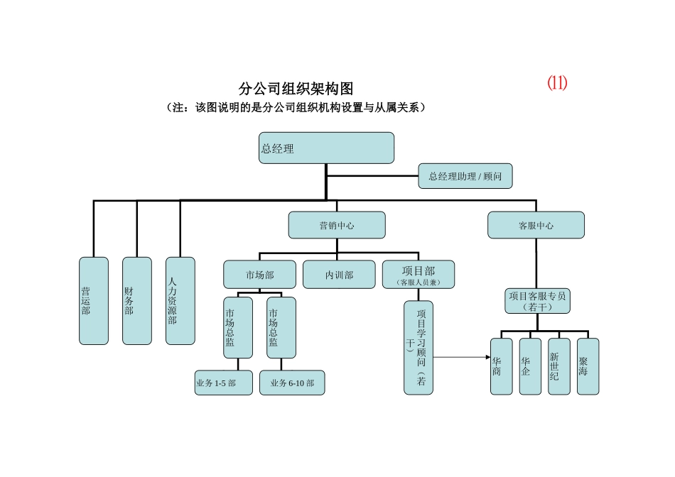 分公司组织架构图_第1页