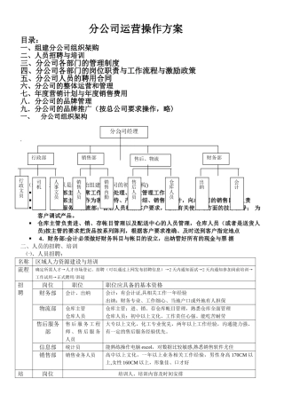 分公司运营方案