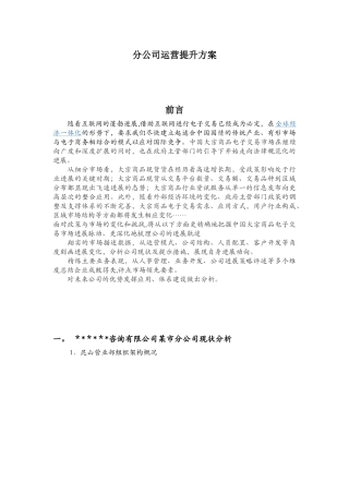 分公司运营提升方案