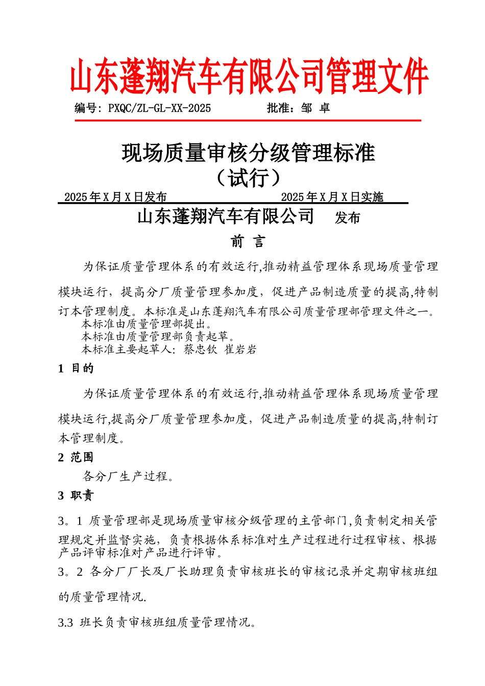 分级审核管理标准_第1页