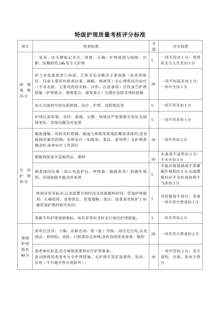分级护理检查表格
