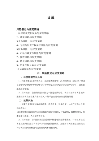 创业计划书--风险