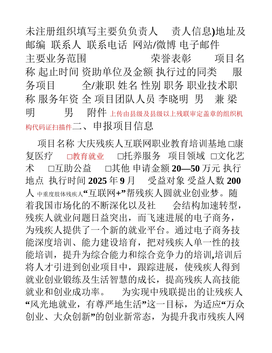 创业项目申报书_第2页