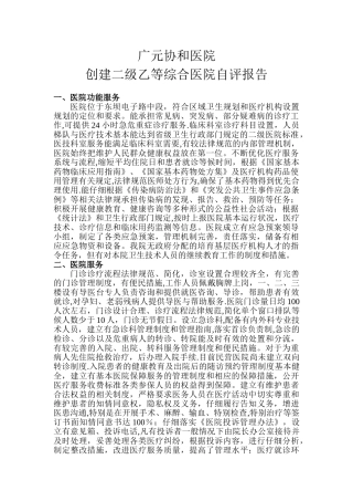创建二级医院自评报告