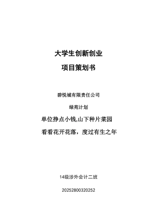 创新创业策划书20755