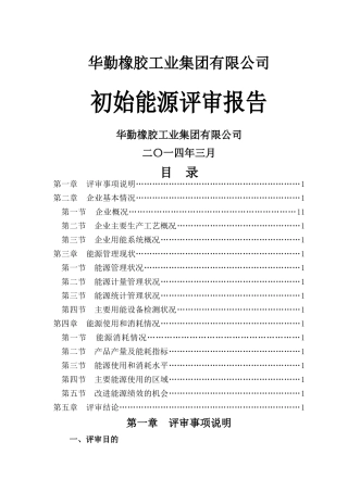 初始能源评审报告