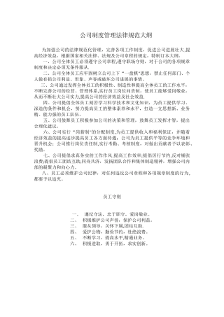 制度管理规范大纲911119