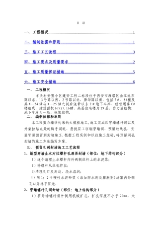 剪力墙螺杆洞封堵方案