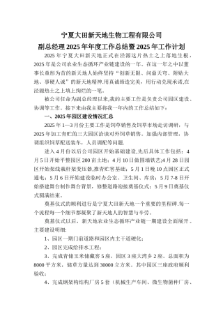 副总经理年度工作总结及计划