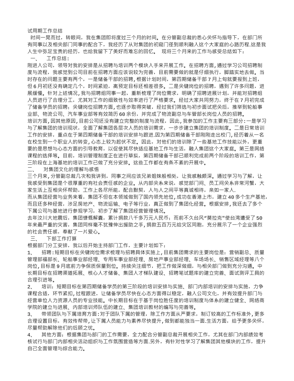 副经理试用期工作总结_第3页