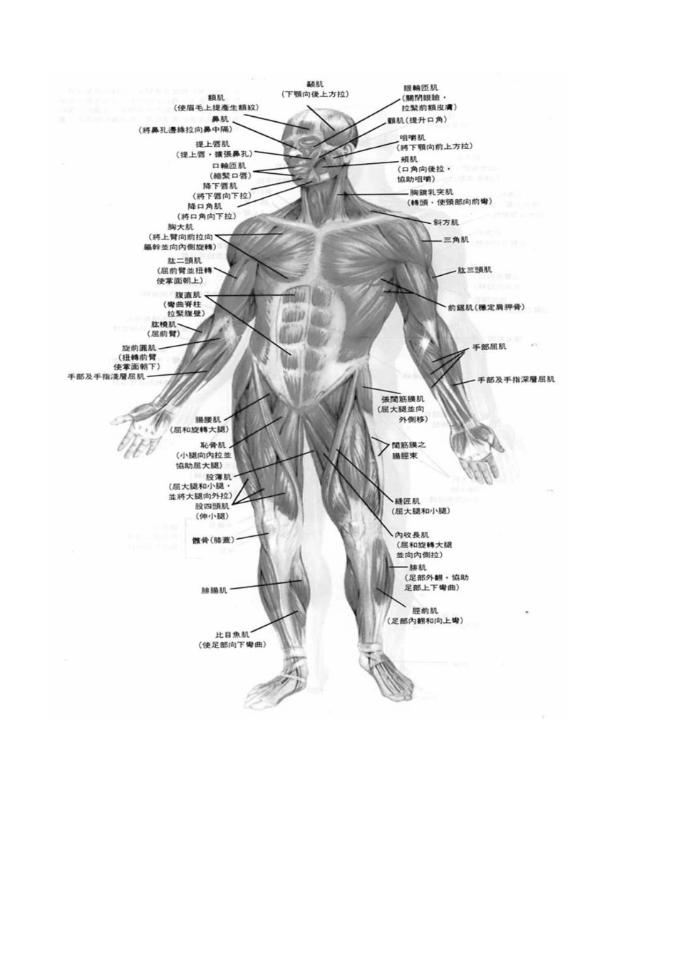 力量训练原理及方法_第2页