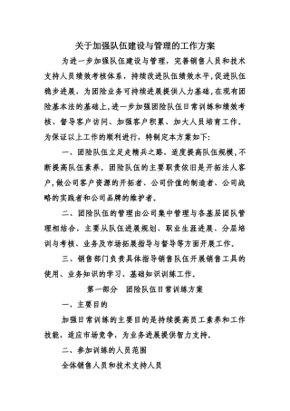 加强团险队伍建设与管理的工作方案