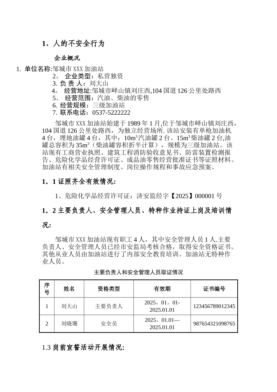 加油站安全评估模版.._第3页