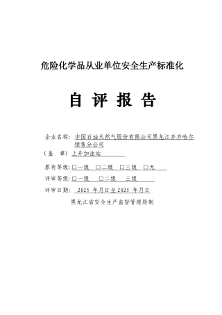 加油站自评报告