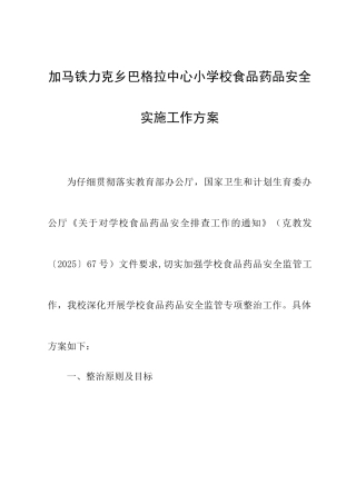 加马铁力克乡巴格拉中心小学校食品药品安全实施工作方案