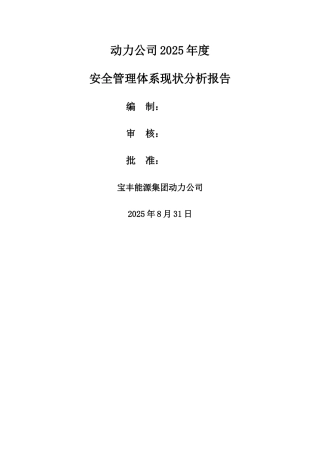 动力公司安全管理体系现状分析报告