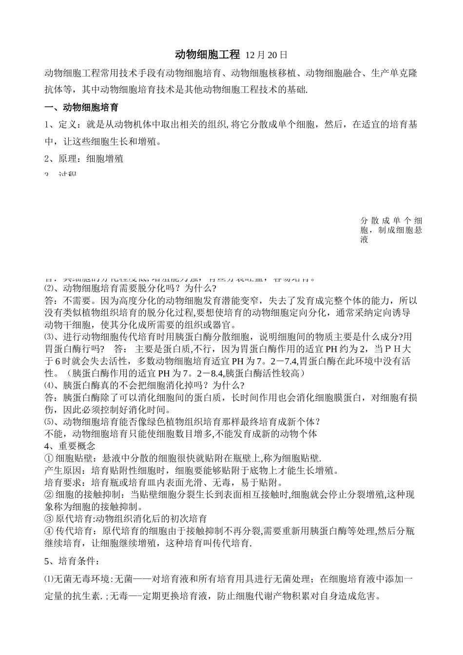 动物细胞工程-知识点_第1页