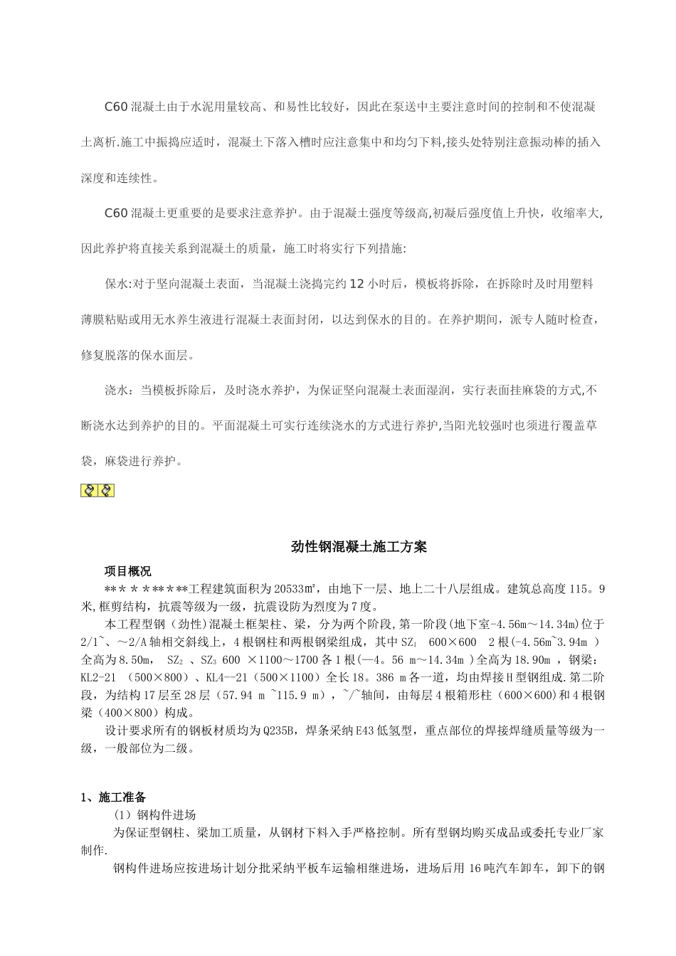 劲性钢混凝土施工方案_第2页