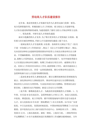 劳动局人才队伍建设报告与勤工监管发展报告汇编