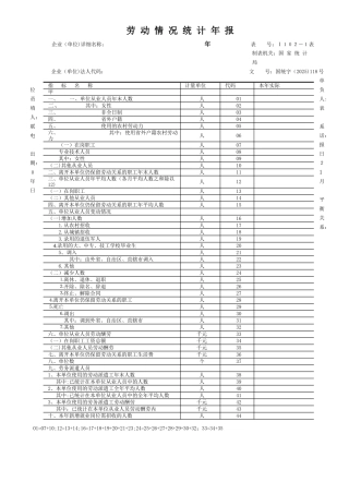 劳动情况年报表