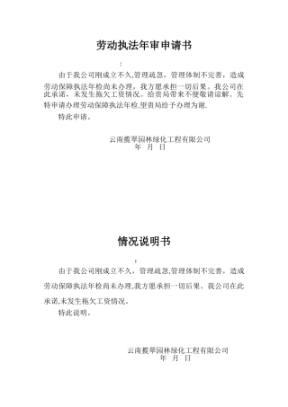 劳动执法年审情况说明