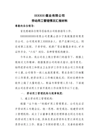 劳动用工汇报材料