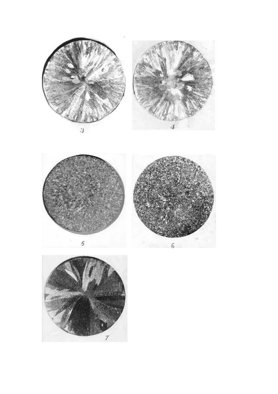 实验二结晶过程与显微组织摄影_第3页