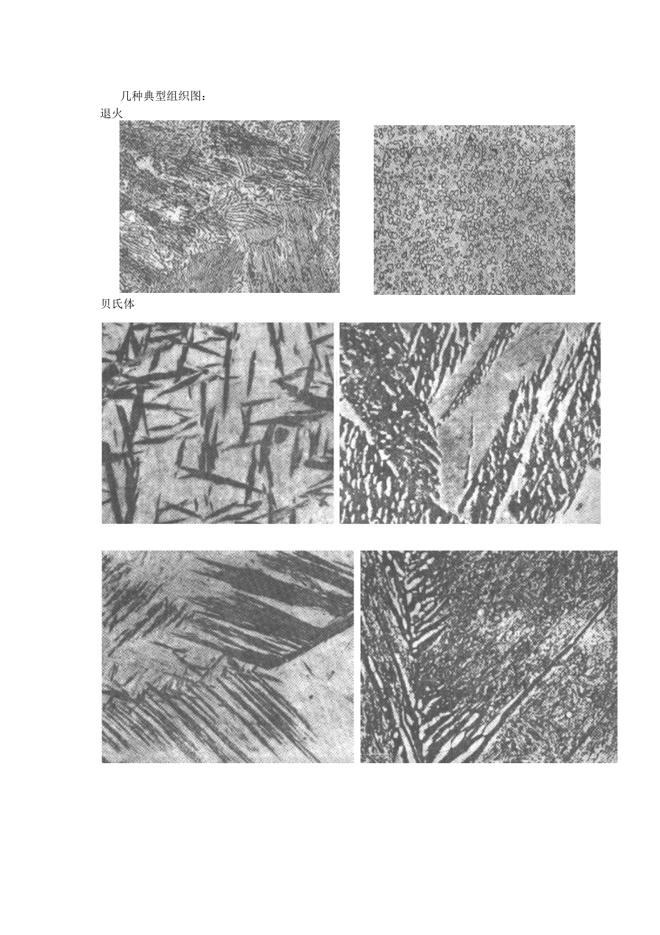 实验九碳钢热处理基本组织观察_第3页