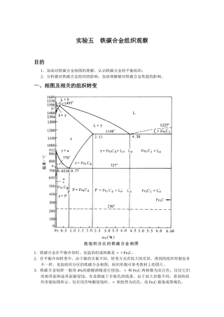 实验五铁碳合金组织观察