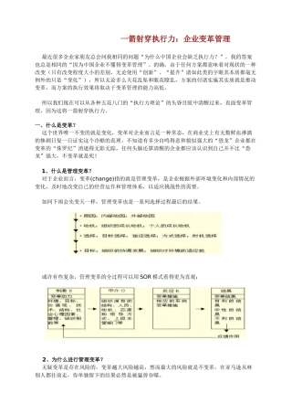 一箭射穿执行力企业变革管理