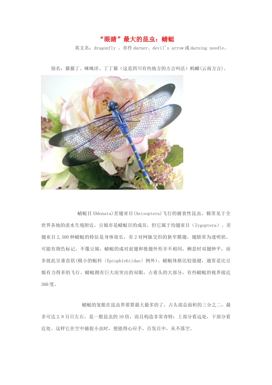 高中生物 “眼睛”最大的昆虫 蜻蜓素材_第1页