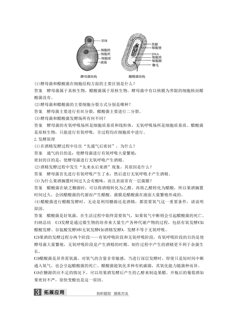 高中生物 专题1 传统发酵技术的应用 第1课时 果酒和果醋的制作同步备课教学案 新人教版选修1-新人教版高二选修1生物教学案_第2页