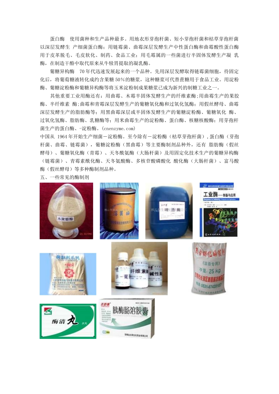 高中生物 3.2《酶在工业生产中的应用》素材 新人教版选修2_第3页