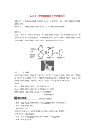 高中生物 专题2 基因工程 2.2.2 动物细胞工程学案 新人教版选修3-新人教版高二选修3生物学案