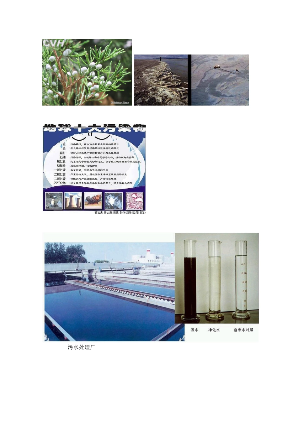 高中生物 4.2《生物净化的原理及其应用》素材 新人教版选修2_第2页