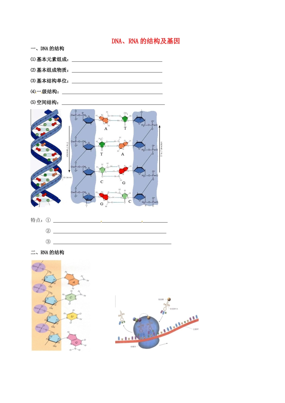 高中生物 DNA、RNA的结构和基因素材 新人教版必修2-新人教版高一必修2生物素材_第1页