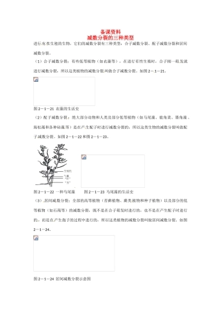 高中生物 2-1《减数分裂和受精作用《（第2课时）》备课参考 新人教版必修2