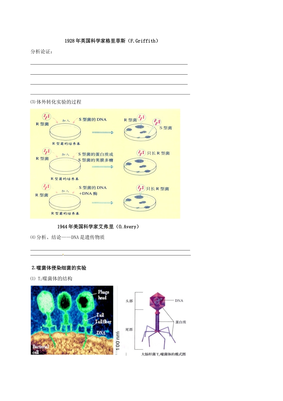 高中生物 DNA是主要的遗传物质素材 新人教版必修2-新人教版高一必修2生物素材_第2页