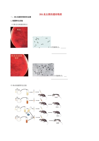 高中生物 DNA是主要的遗传物质素材 新人教版必修2-新人教版高一必修2生物素材