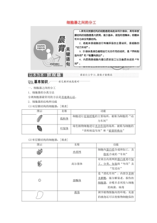 高中生物 第3章 第2节 第1课时 细胞器之间的分工教学案（含解析）新人教版必修1-新人教版高一必修1生物教学案