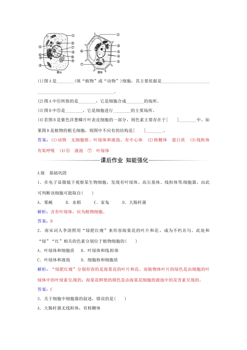 高中生物 第3章 第2节 细胞器之间的分工（第1课时）练习 新人教版必修1-新人教版高一必修1生物学案_第2页