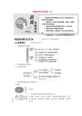 高中生物 第1章 第2节 细胞的多样性和统一性教学案（含解析）新人教版必修1-新人教版高一必修1生物教学案