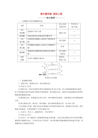 高中生物 第1章 基因工程微专题突破学案 新人教版选修3-新人教版高二选修3生物学案