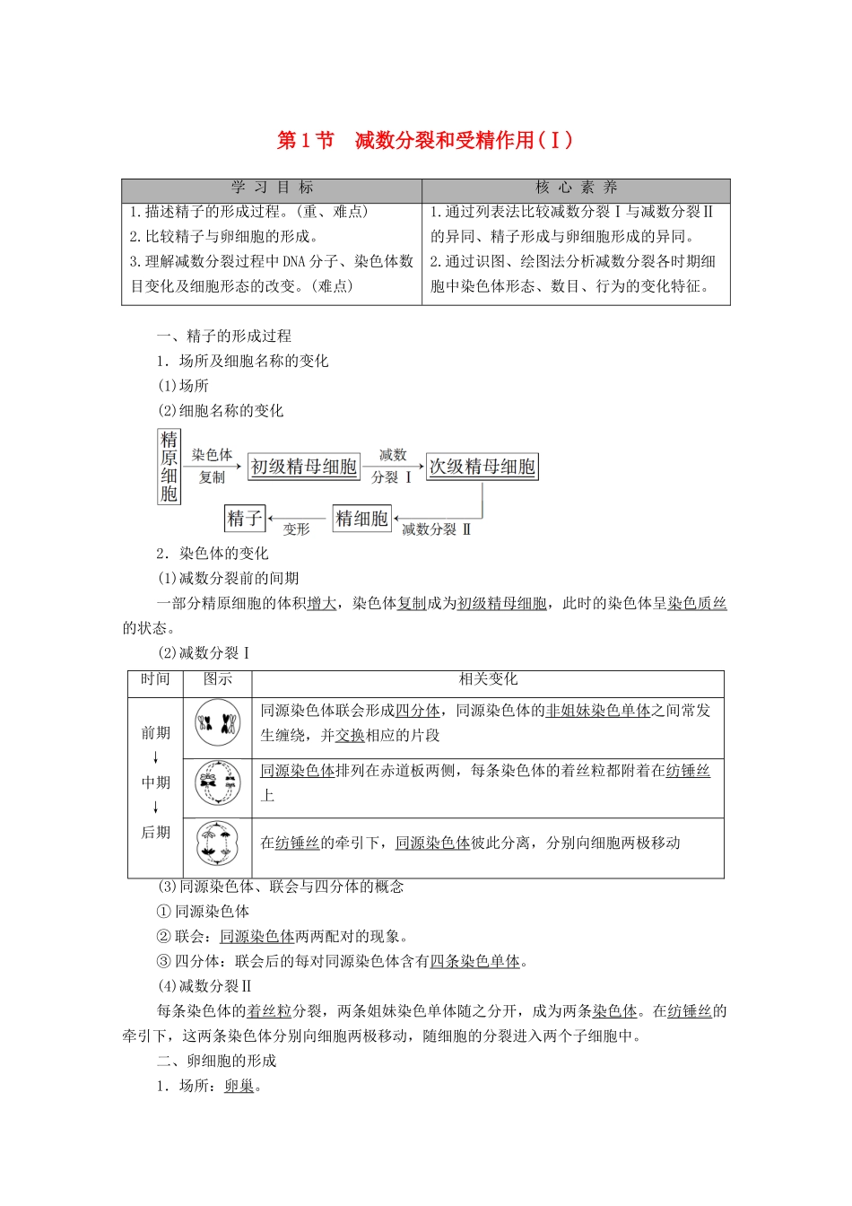 高中生物 第2章 基因和染色体的关系 第1节 减数分裂和受精作用（Ⅰ）教学案 新人教版必修第二册-新人教版高一第二册生物教学案_第1页