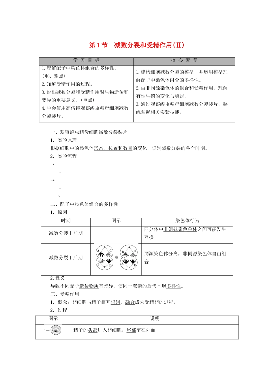 高中生物 第2章 基因和染色体的关系 第1节 减数分裂和受精作用（Ⅱ）教学案 新人教版必修第二册-新人教版高一第二册生物教学案_第1页
