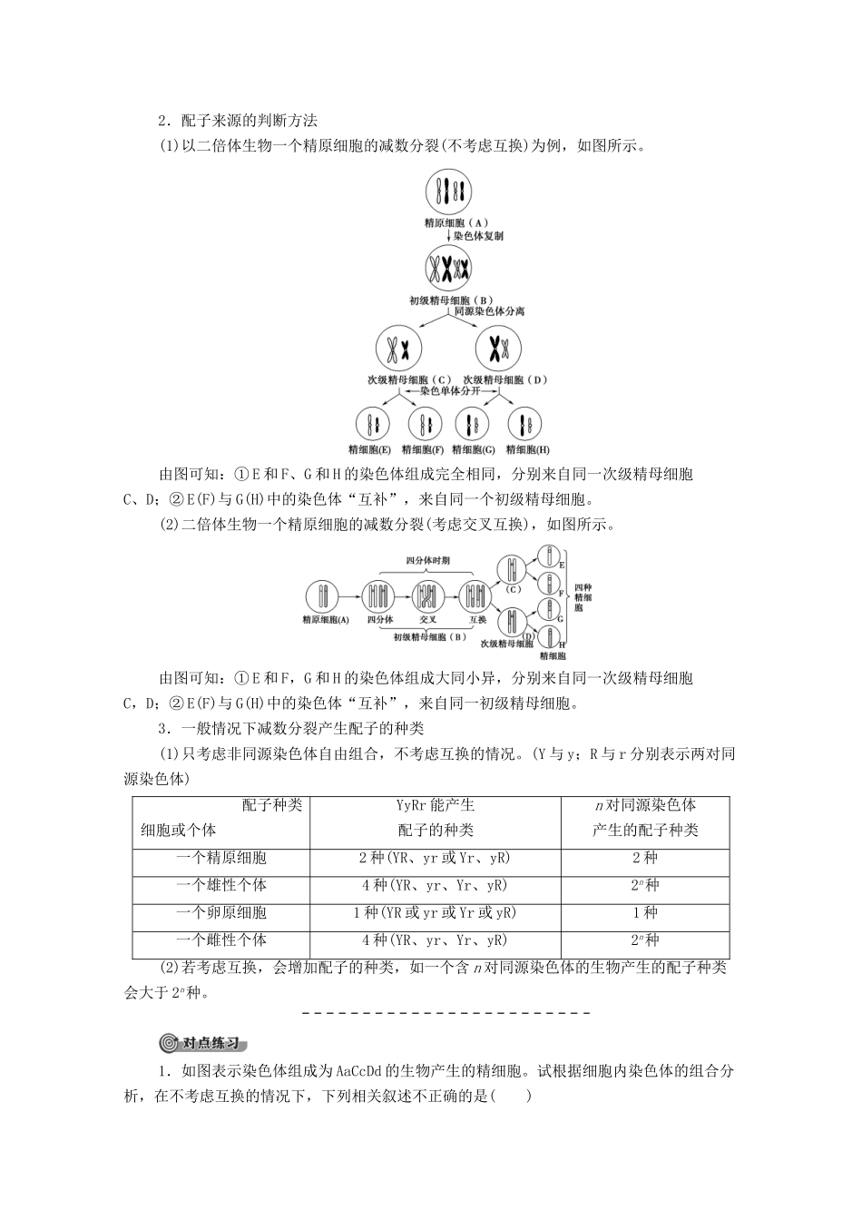 高中生物 第2章 基因和染色体的关系 第1节 减数分裂和受精作用（Ⅱ）教学案 新人教版必修第二册-新人教版高一第二册生物教学案_第3页